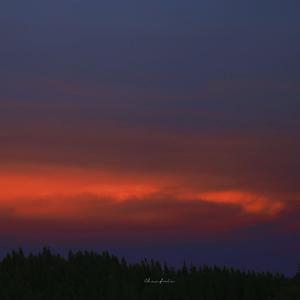 香蕉视频改名是什么
