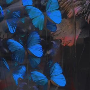 香蕉视频改名是什么
